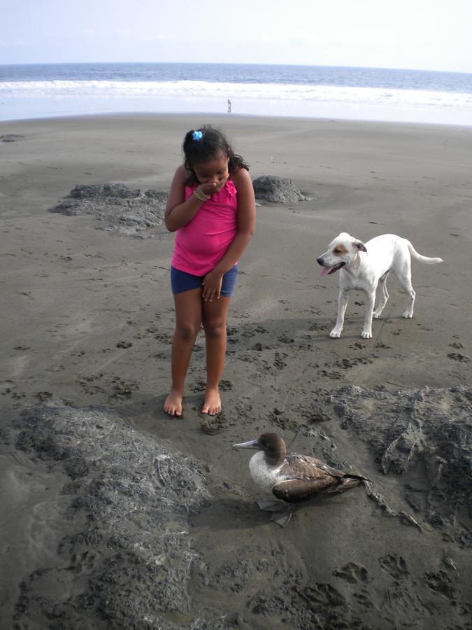 Апартаменти Plumita Pacifica Playa Junquillal Екстер'єр фото